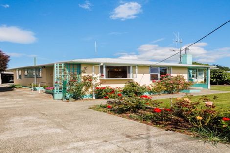 Photo of property in 56 Sherwill Street, Feilding, 4702