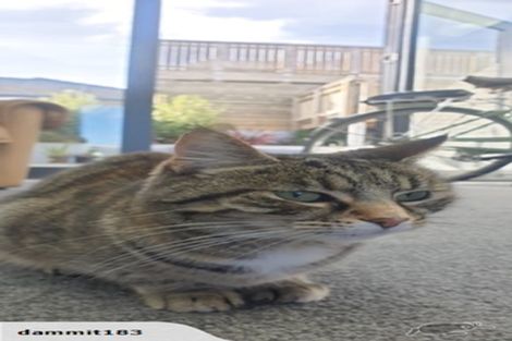 Photo of property in 16b Wentworth Street, Mornington, Wellington, 6021