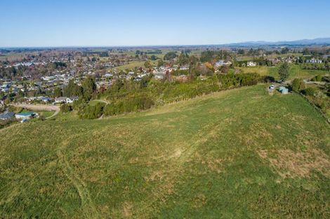 Photo of property in 85 Pekapeka Lane, Geraldine, 7930