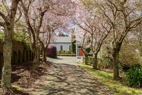 Photo of property in 59 Contour Avenue, Pyes Pa, Tauranga, 3112