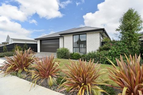 Photo of property in 8 Jasmine Street, Woodend, 7610