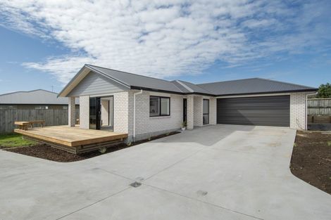 Photo of property in 169d Park Road, Katikati, 3129