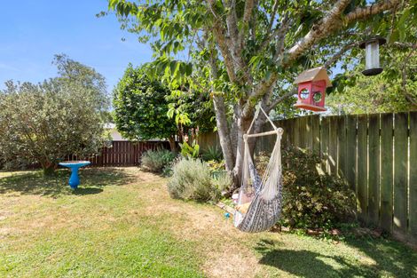 Photo of property in 16 Froude Street, Leamington, Cambridge, 3432