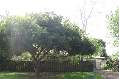Photo of property in 175 Sixteenth Avenue, Tauranga South, Tauranga, 3112