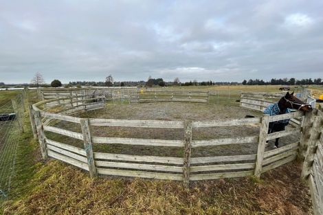 Photo of property in 109 Hardys Road, Rakaia, 7784