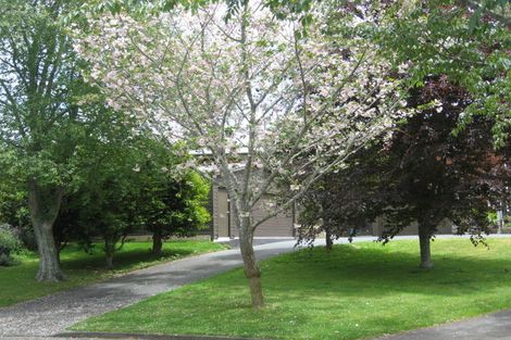 Photo of property in 465 Elizabeth Avenue, Te Awamutu, 3800