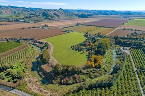 Photo of property in 191 Papatu Road, Manutuke, Gisborne, 4072