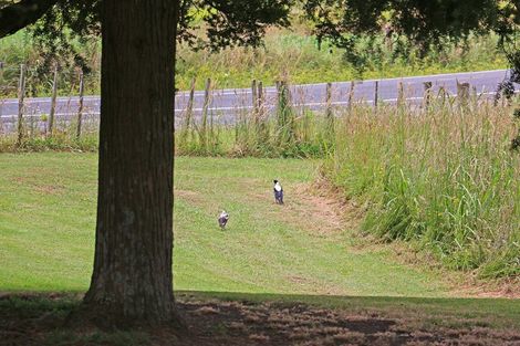 Photo of property in 400 West Coast Road, Makarau, Warkworth, 0981