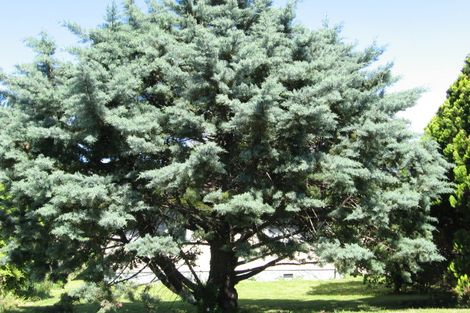 Photo of property in 48 Oswald Street, Mangapapa, Gisborne, 4010