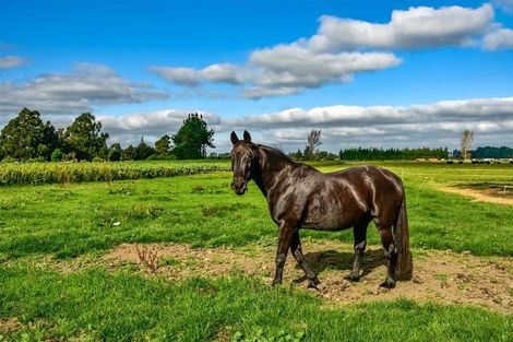 Photo of property in 106 Searles Road, Sheffield, 7580