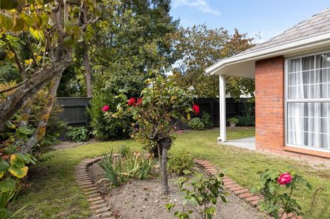 Photo of property in 101a Maxwell Road, Blenheim, 7201