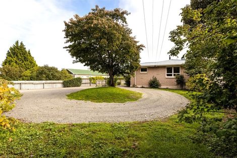 Photo of property in 8 High Street, Renwick, 7204