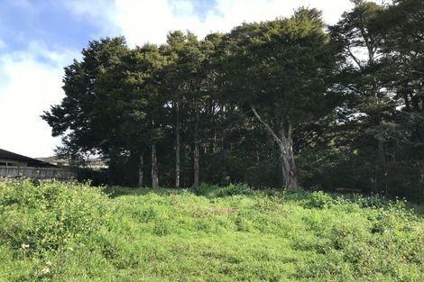 Photo of property in 43 Balmacewan Drive, Te Kamo, Whangarei, 0112