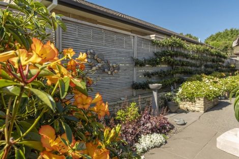 Photo of property in 21 Edwin Grove, Bethlehem, Tauranga, 3110