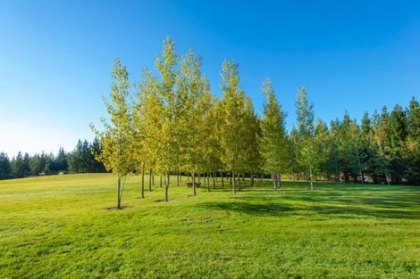 Photo of property in 1373 Eighty Eight Valley Road, Eighty Eight Valley, Wakefield, 7095