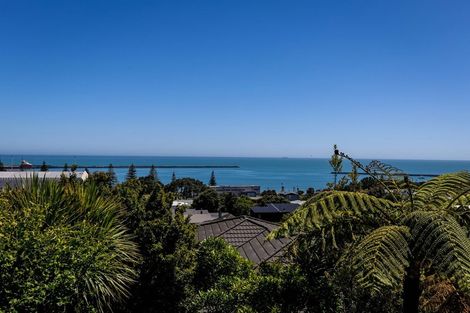 Photo of property in 23 Skinner Street, Blagdon, New Plymouth, 4310