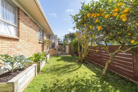 Photo of property in 218b Peachgrove Road, Claudelands, Hamilton, 3214