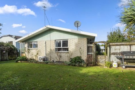 Photo of property in 25a Millers Road, Brookfield, Tauranga, 3110