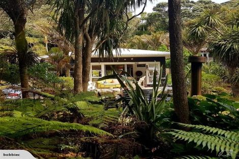 Photo of property in 54 Beach Valley Road, Piha, New Lynn, 0772