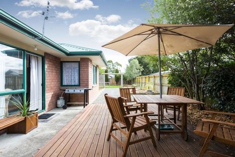 Photo of property in 368 Ruahine Street, Terrace End, Palmerston North, 4410