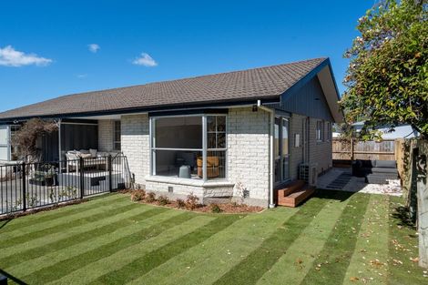 Photo of property in 38 Young Street, Somerfield, Christchurch, 8024