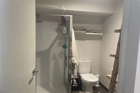 Photo of property in 98a Michael Jones Drive, Flat Bush, Auckland, 2019