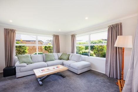 Photo of property in 132 Johnstone Drive, Fitzherbert, Palmerston North, 4410