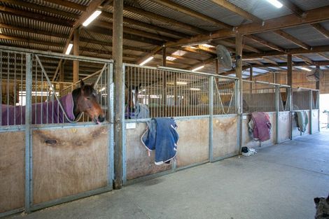 Photo of property in 49 Racecourse Road, Cambridge, 3493