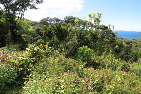 Photo of property in 496 Tuateawa Road, Tuateawa, Coromandel, 3583