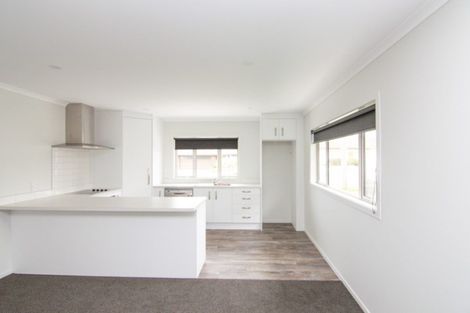 Photo of property in 315 Ruahine Street, Terrace End, Palmerston North, 4410