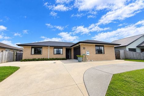 Photo of property in 12 Matau Close, Te Kauwhata, 3710