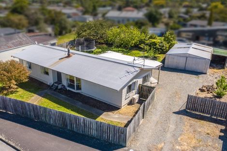 Photo of property in 61 Albert Street, Masterton, 5810