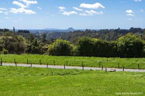 Photo of property in 790 Belk Road, Omanawa, Tauranga, 3171