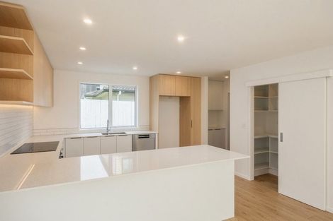Photo of property in 45a Wainui Avenue, Point Chevalier, Auckland, 1022