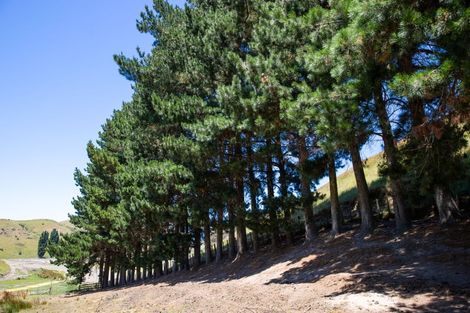 Photo of property in 690 Swamp Road, Puketapu, Napier, 4183