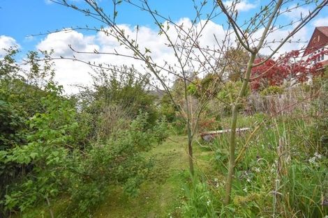 Photo of property in 39 Park Street, North Dunedin, Dunedin, 9016