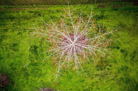 Photo of property in 137 Kayelene Place, Omokoroa, 3114