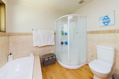 Photo of property in 193 The Terrace, Ashhurst, 4810