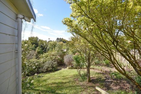 Photo of property in 9 Sandhead Street, Waihola, Milton, 9073