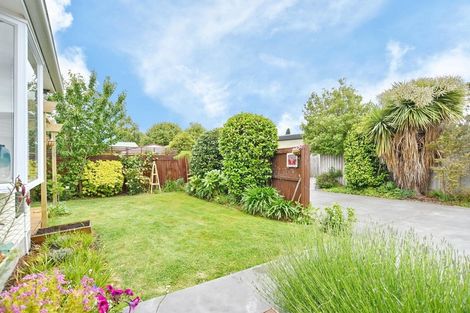 Photo of property in 1/6a Mundys Road, Dallington, Christchurch, 8061