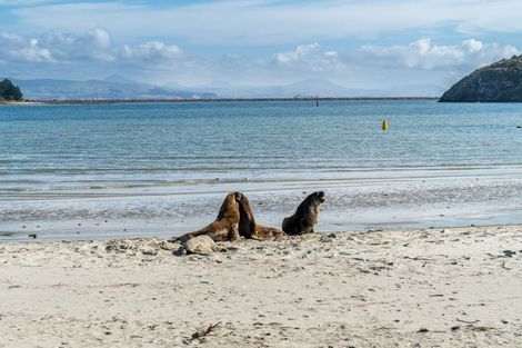 Photo of property in 940 Harington Point Road, Harington Point, Dunedin, 9077