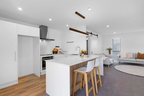 Photo of property in 4 Pelham Place, Lincoln, 7608