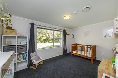 Photo of property in 309 Colyton Road, Colyton, Feilding, 4775