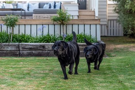 Photo of property in 79 Hinemoa Street, Birkenhead, Auckland, 0626