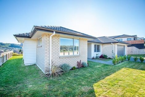 Photo of property in 127 John Burke Drive, Aotea, Porirua, 5024