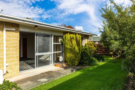 Photo of property in 10c Eltham Road, Blenheim, 7201