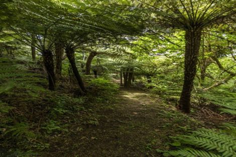 Photo of property in 126 Waihirere Drive, Tuateawa, Coromandel, 3583