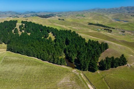 Photo of property in 363 Caseys Road, Lake Grassmere, Seddon, 7285