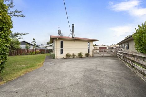 Photo of property in 8 Custom Street, Ashhurst, 4810
