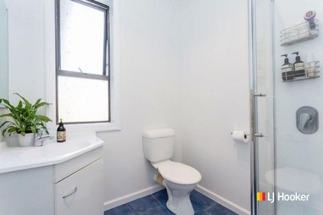 Photo of property in 42 Pitcairn Street, Belleknowes, Dunedin, 9011